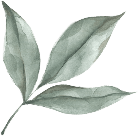 Modern oasis leaf